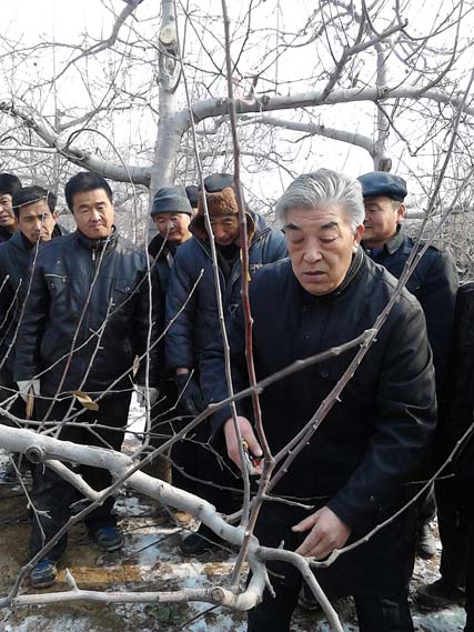 蘋果專家伍孝賢現(xiàn)場培訓蘋果樹的修剪與栽培技術